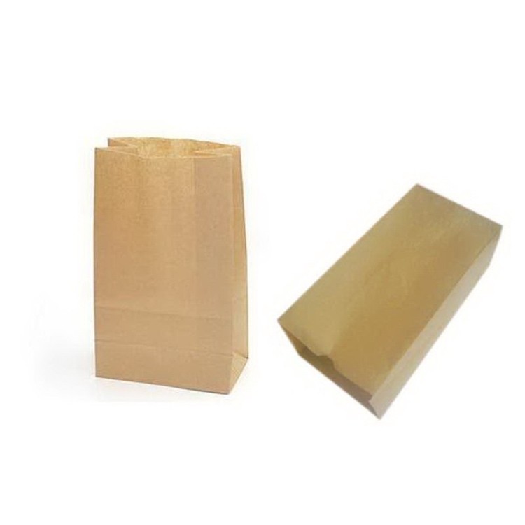 Food Packing Paper Bag 2