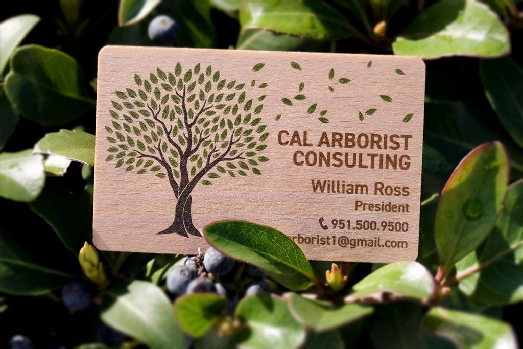Beech Wood Business Cards 7