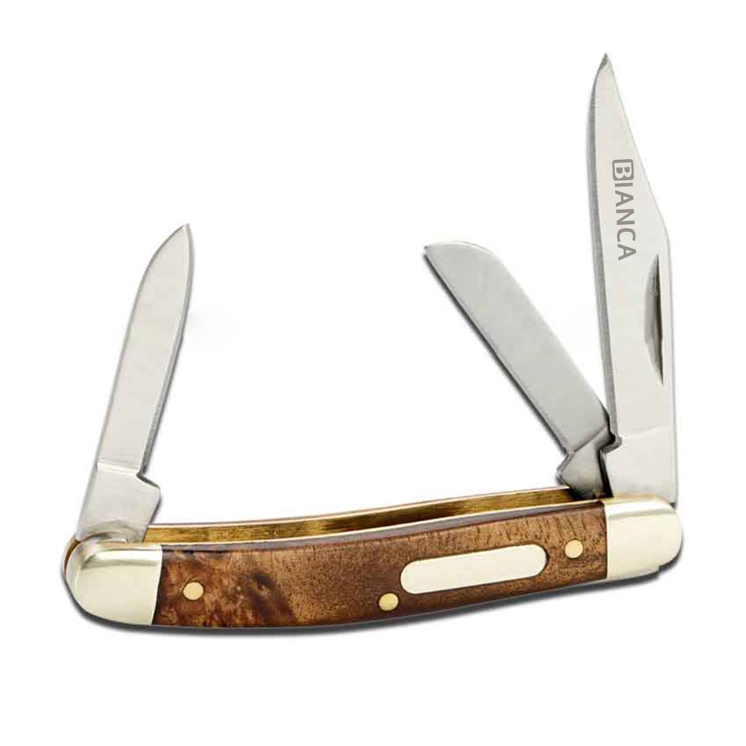 Miniature stainless steel folding knife