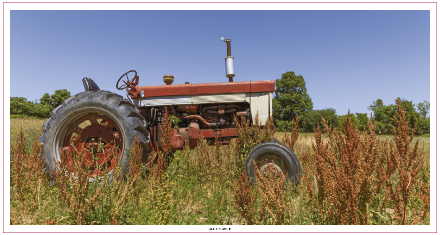 Skinner & Kennedy® Large Everyday Farm Memo 37