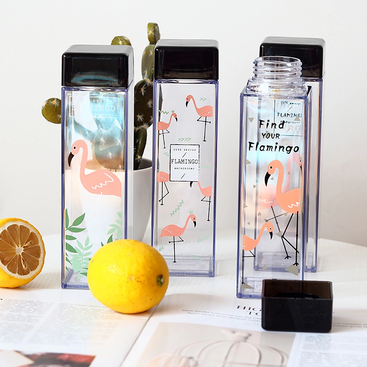 Square Water Bottle 16 oz 3