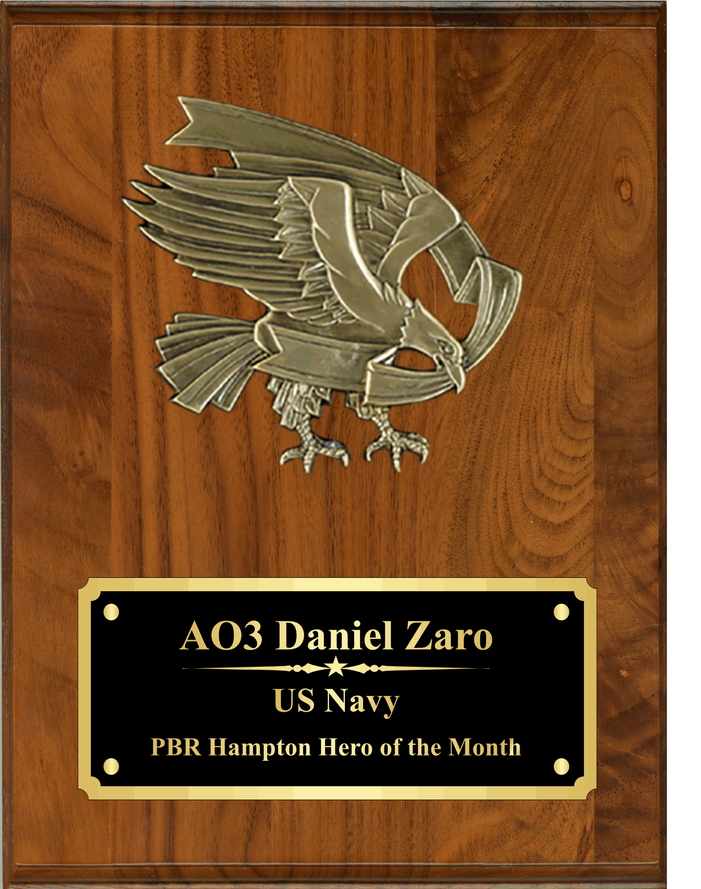 Plaque with Cast Bronze Eagle Mount 7