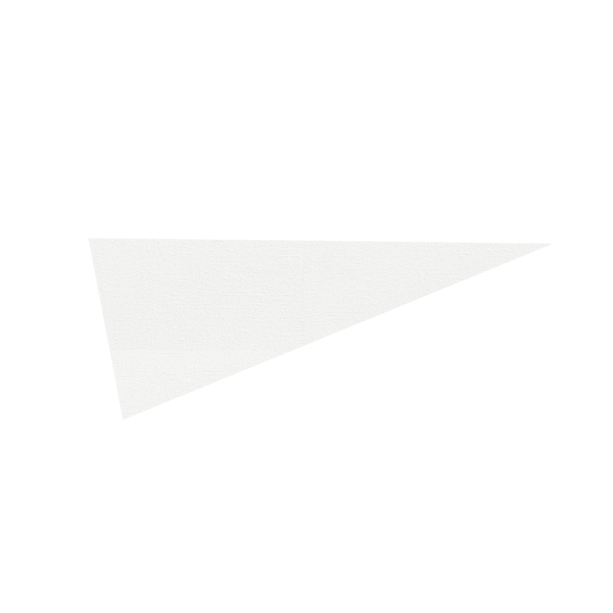 9" x 24" Pennant 3