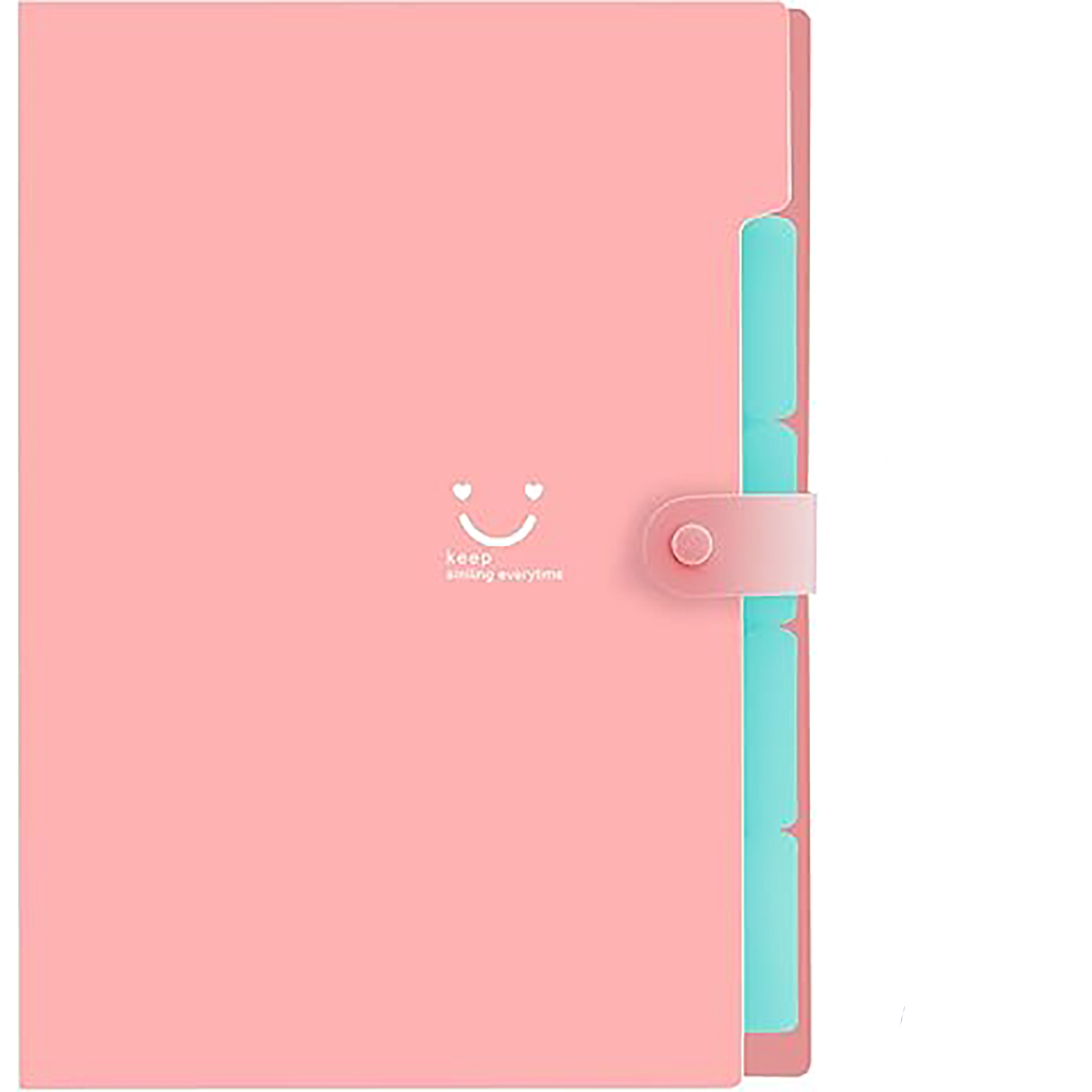 File Organizer with Labels 13