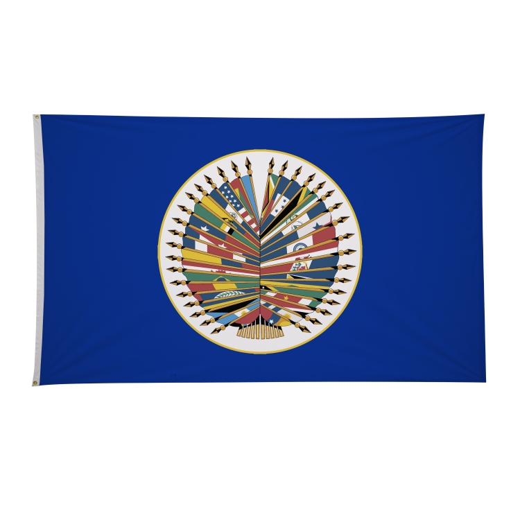 6' x 10' International Flags 237
