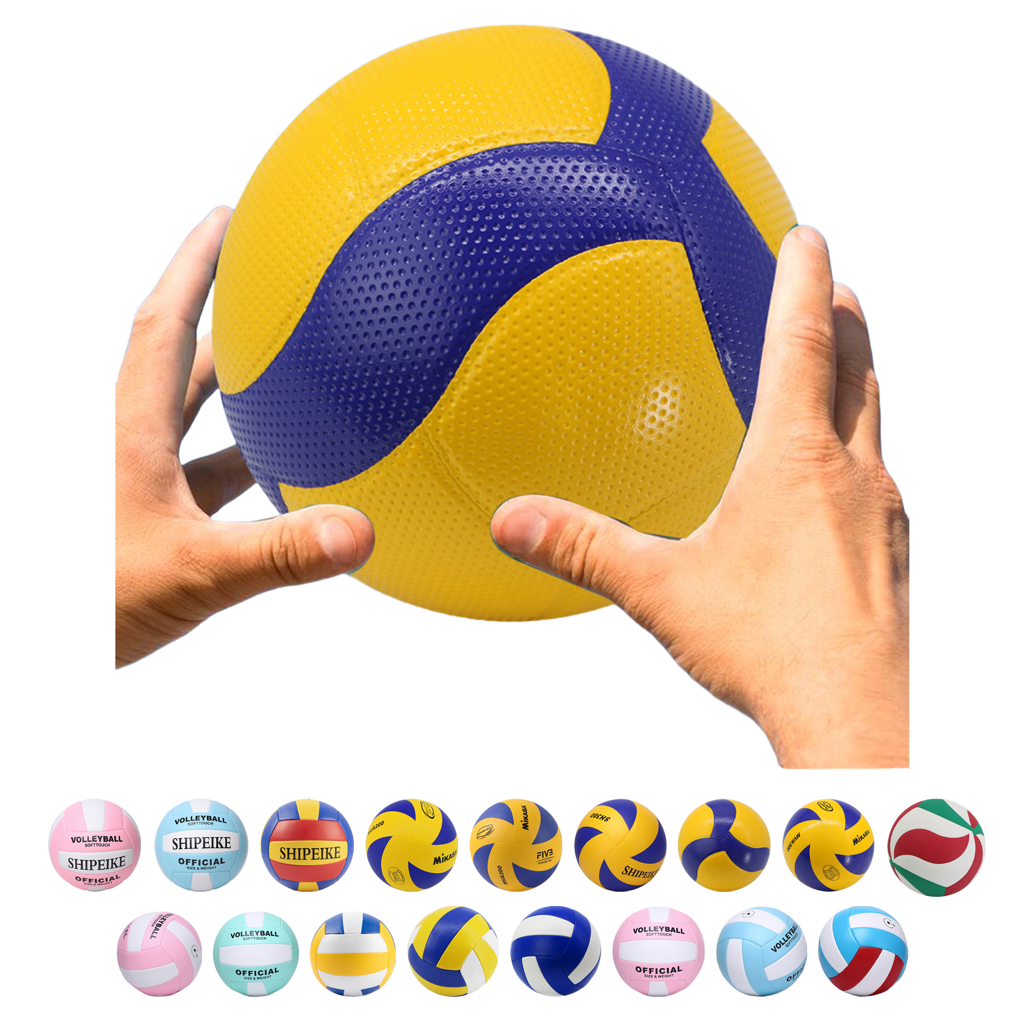 Professional Volleyball 2