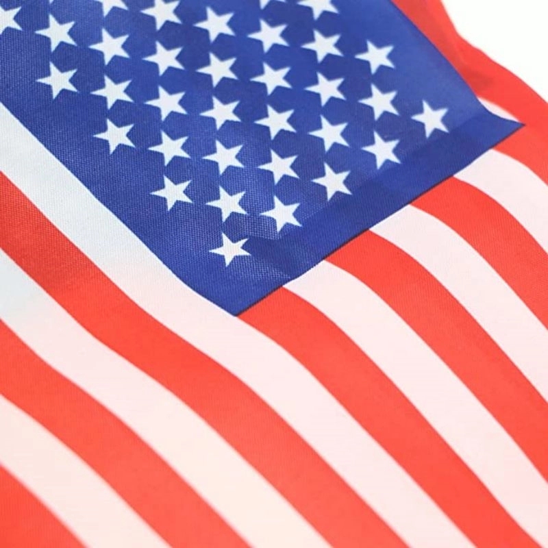 American String Pennant Banners 4