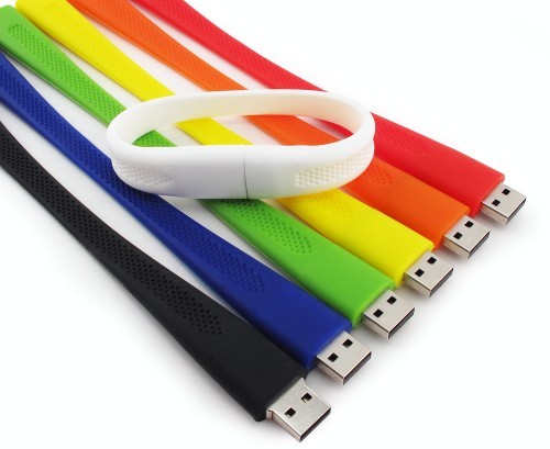 16GB Wristband 100 Series-GS 3