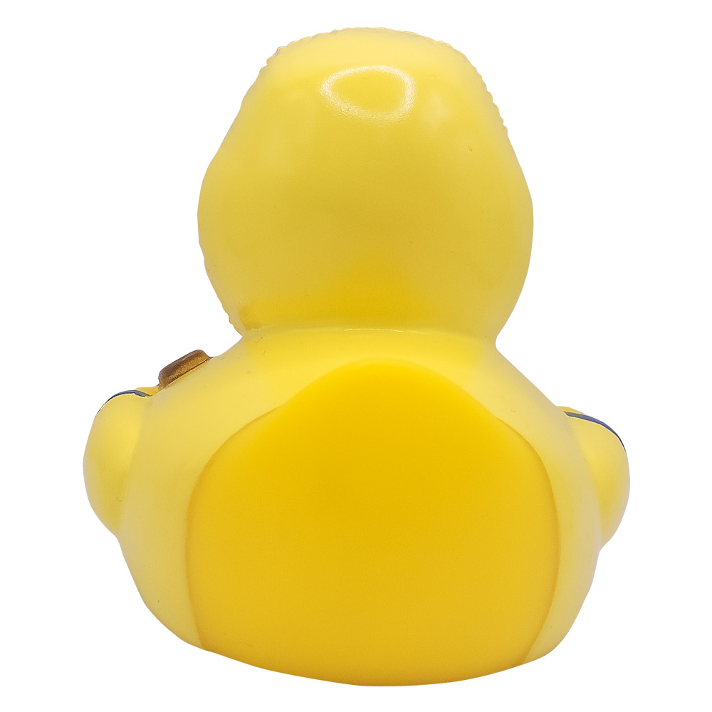 Bad Weather Duck 4