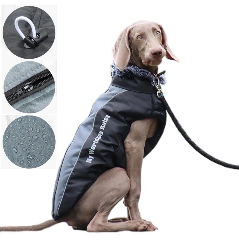 Warm Dog Jackets 2