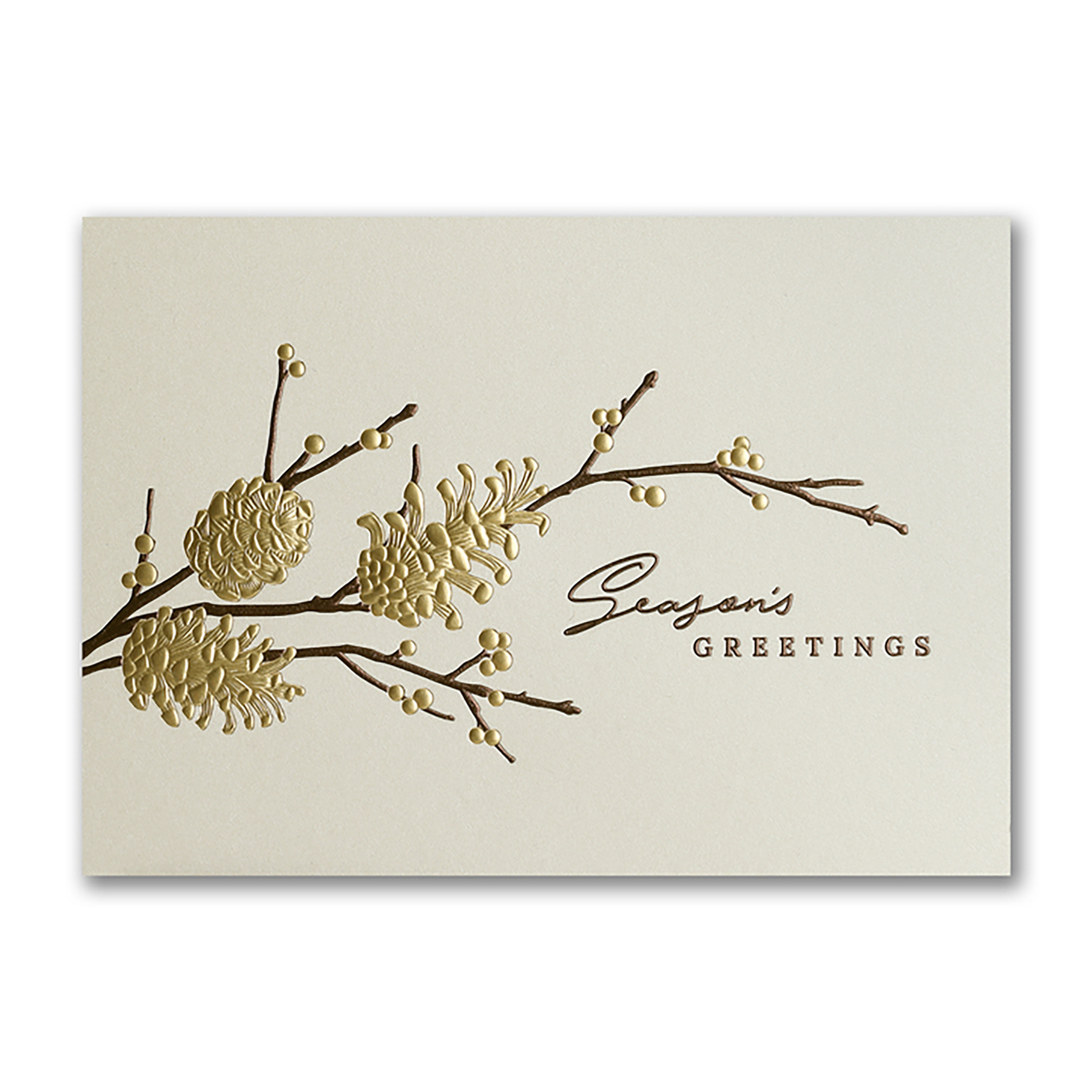 Pine Cone Branch Holiday Card 3