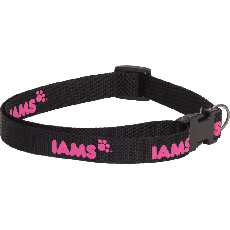 Dog Collar Large 1