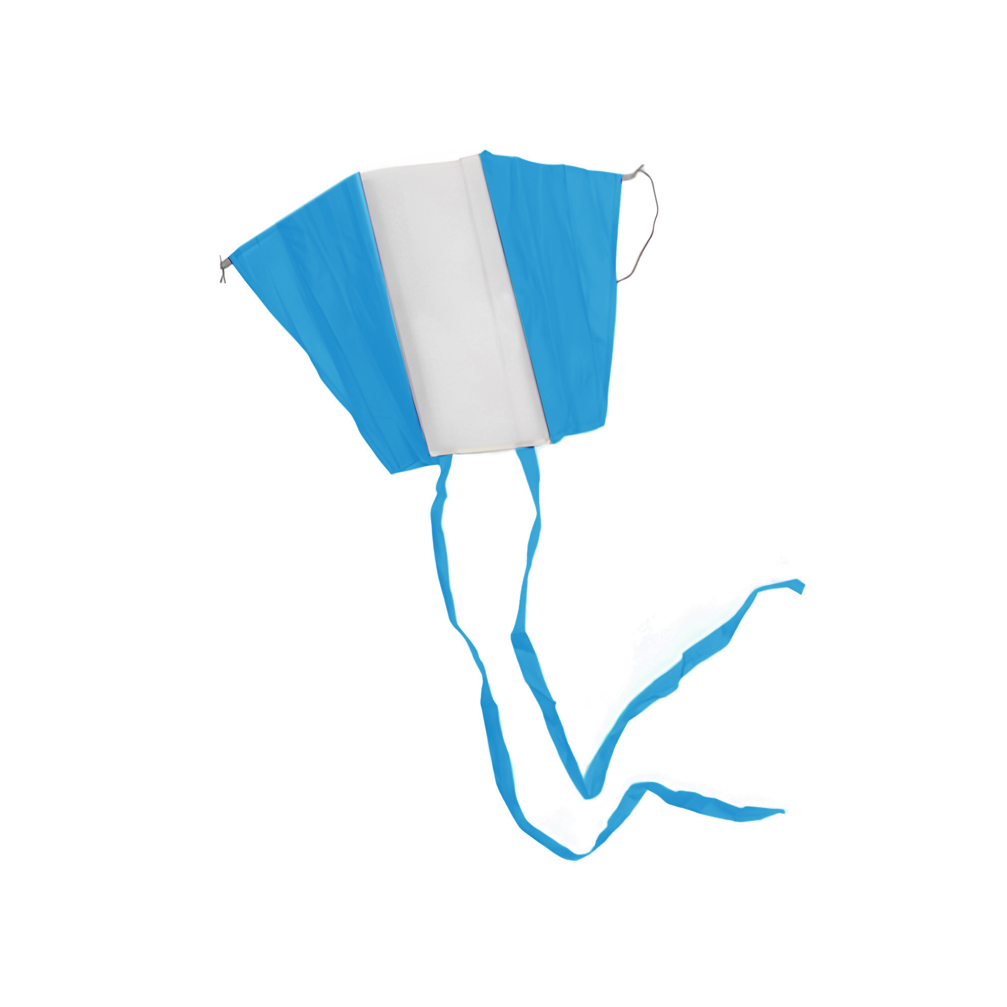 Folding Eagle Kite w/ Pouch 3
