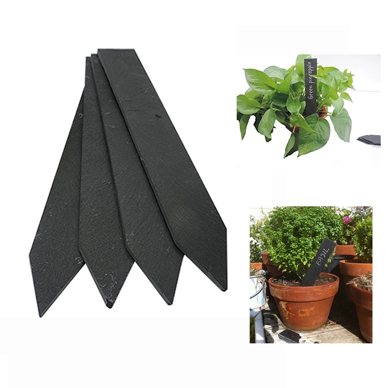 Plant Lables 3
