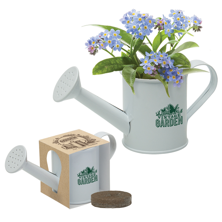 Mini Watering Can Blossom Kit 12