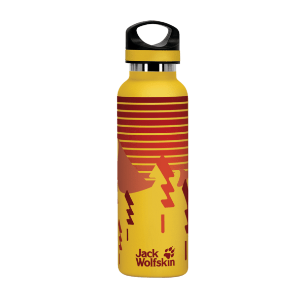 20 oz. Basecamp Tundra Bottle with Screw Top Lid 210