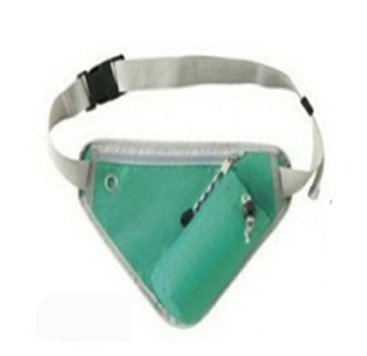 Triangle Backpack / Waist Bag 2