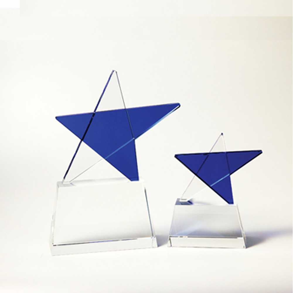 Crystal Blue Star Award, Mid Size 2