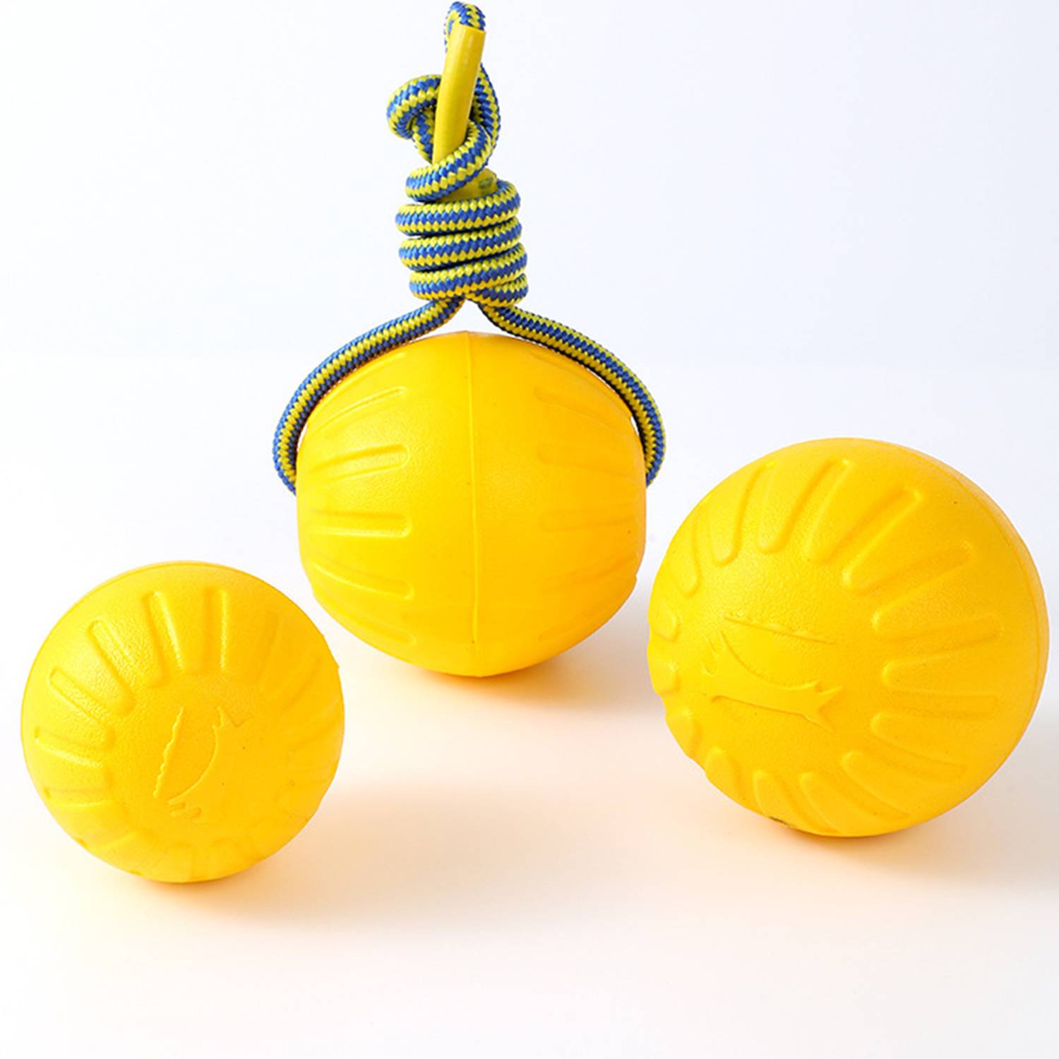 Dogs gnawing on pull tab pet toys 4