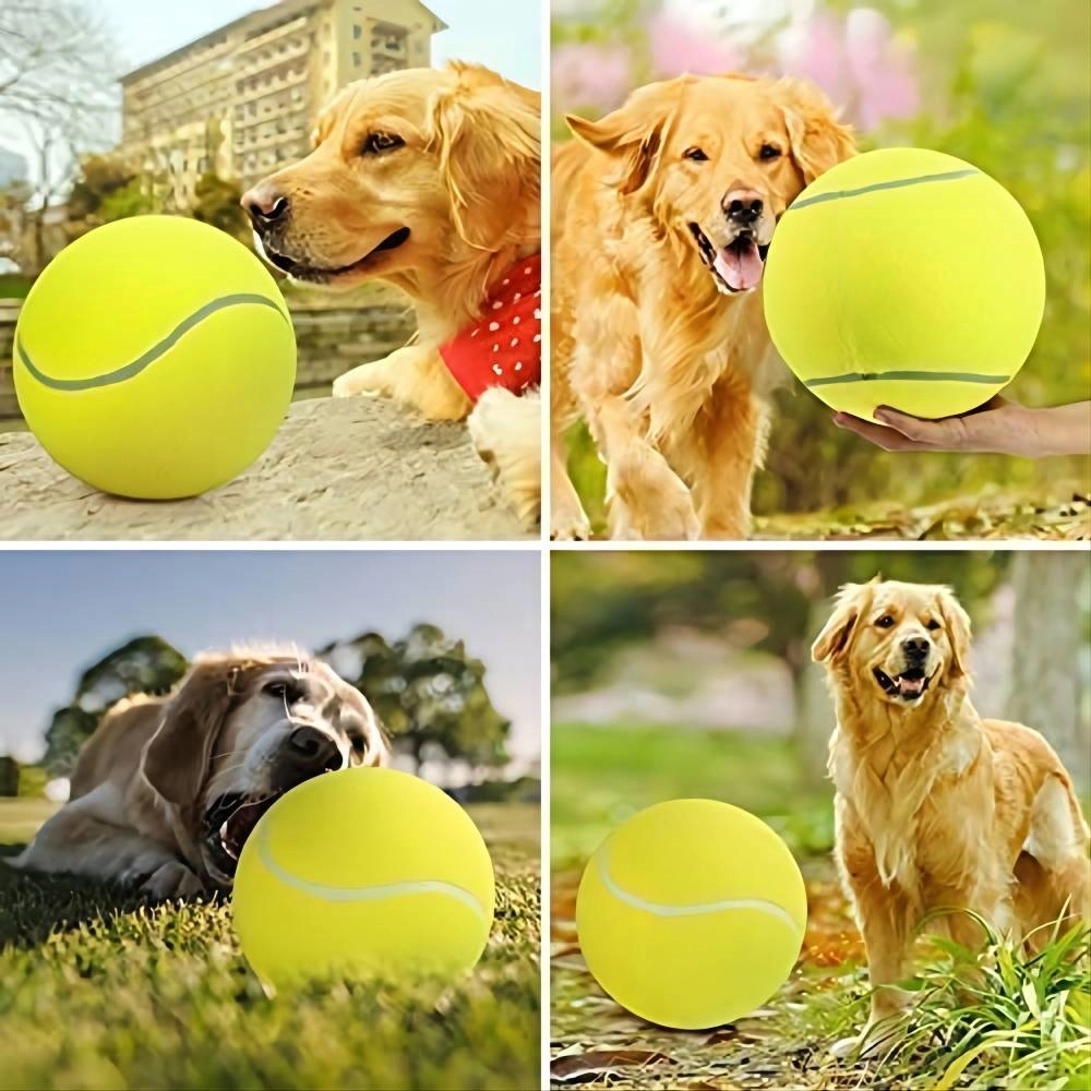 Pet Tennis Balls for Dogs 2