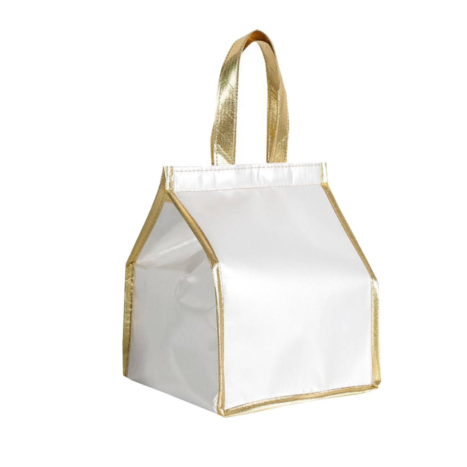 Aluminum Foil Insulation Bag 7