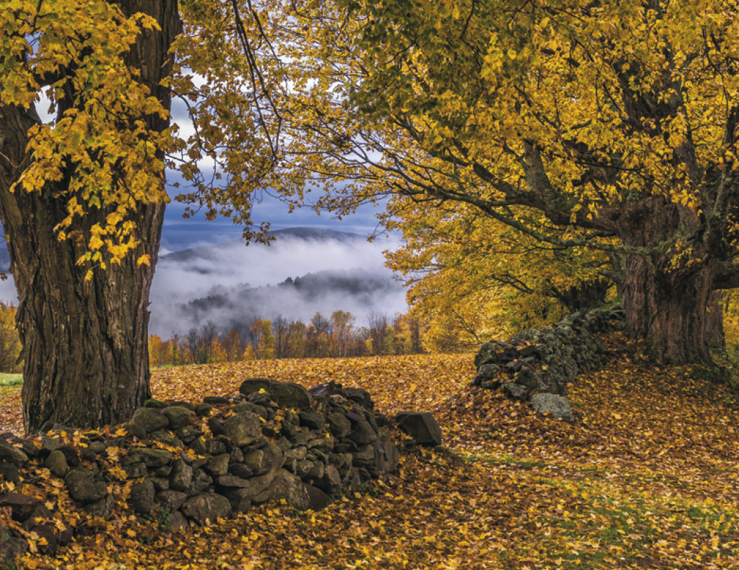 HotLine® Products Catholic Reflections Appointment Calendar - Stapled 51