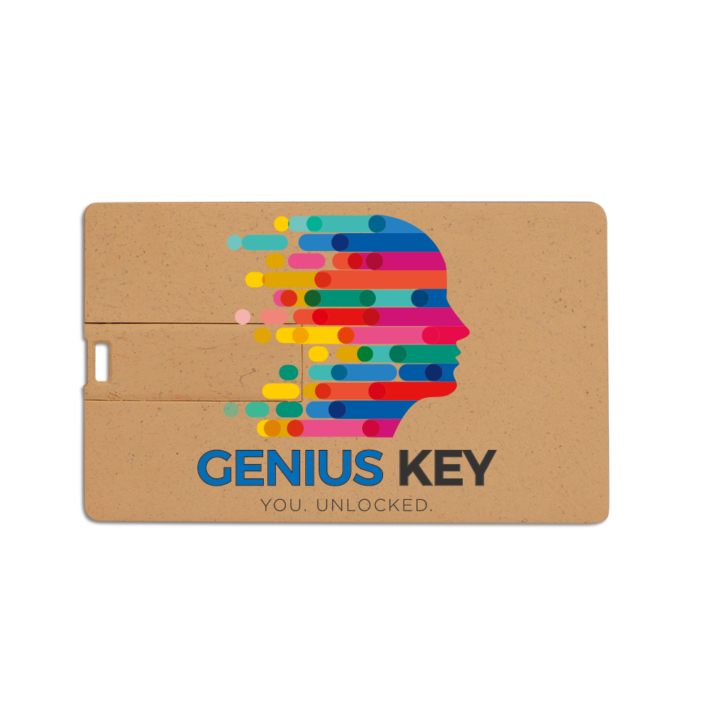 Broadview Eco-Friendly Card USB 4