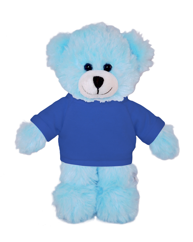 Blue Bear with Tee 15
