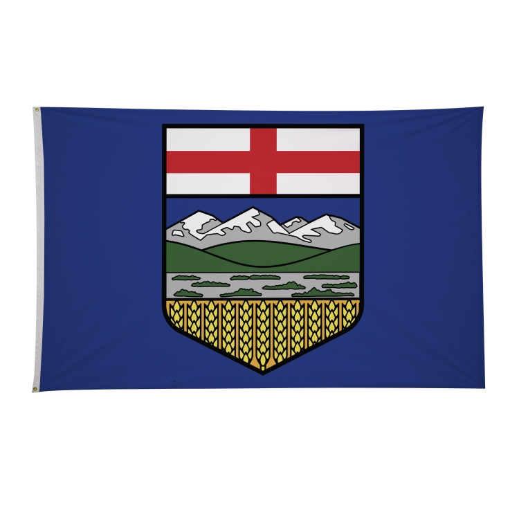 5' x 8' International Flags 19
