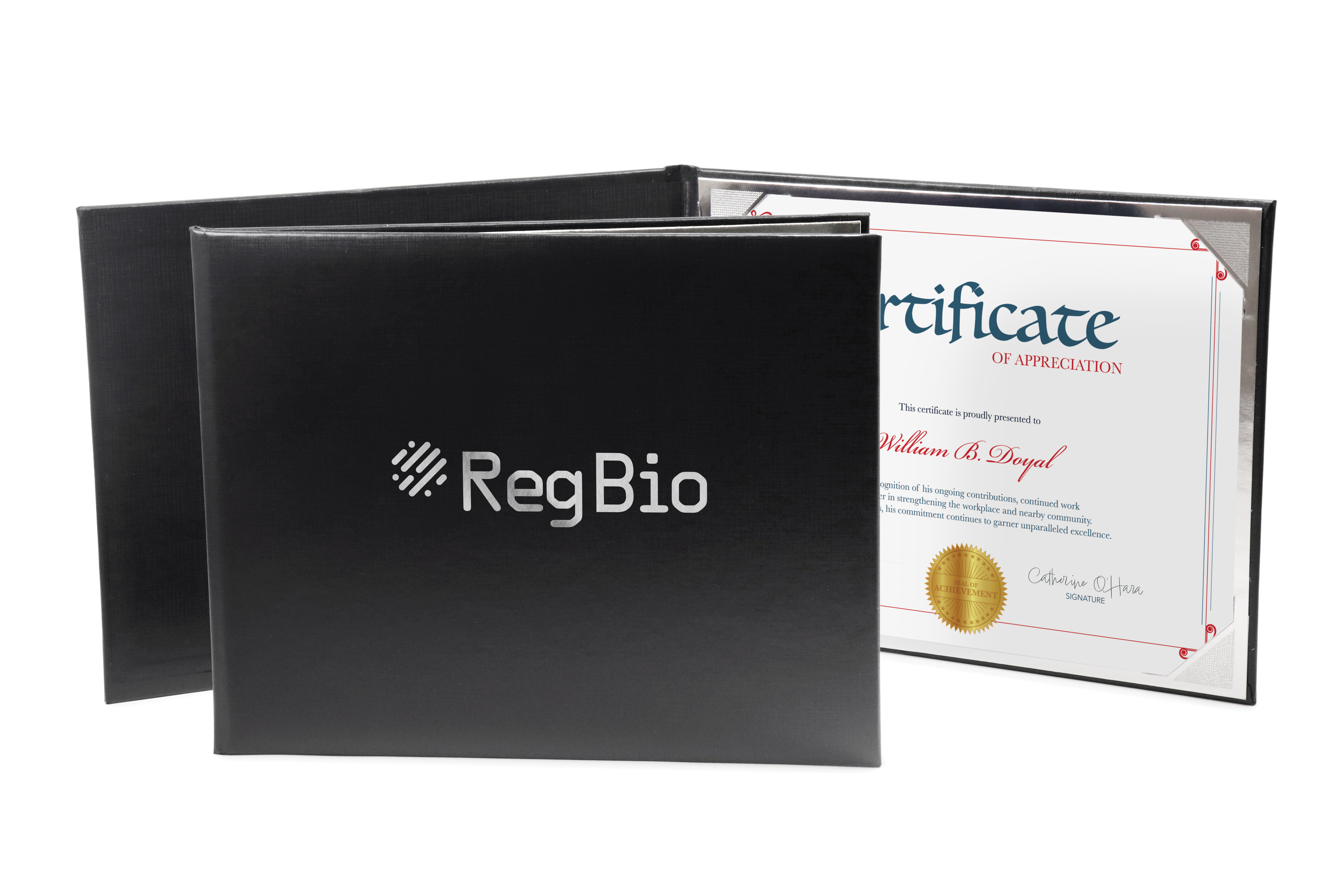 Deluxe Padded Single 8" x 10" Certificate Folder 4