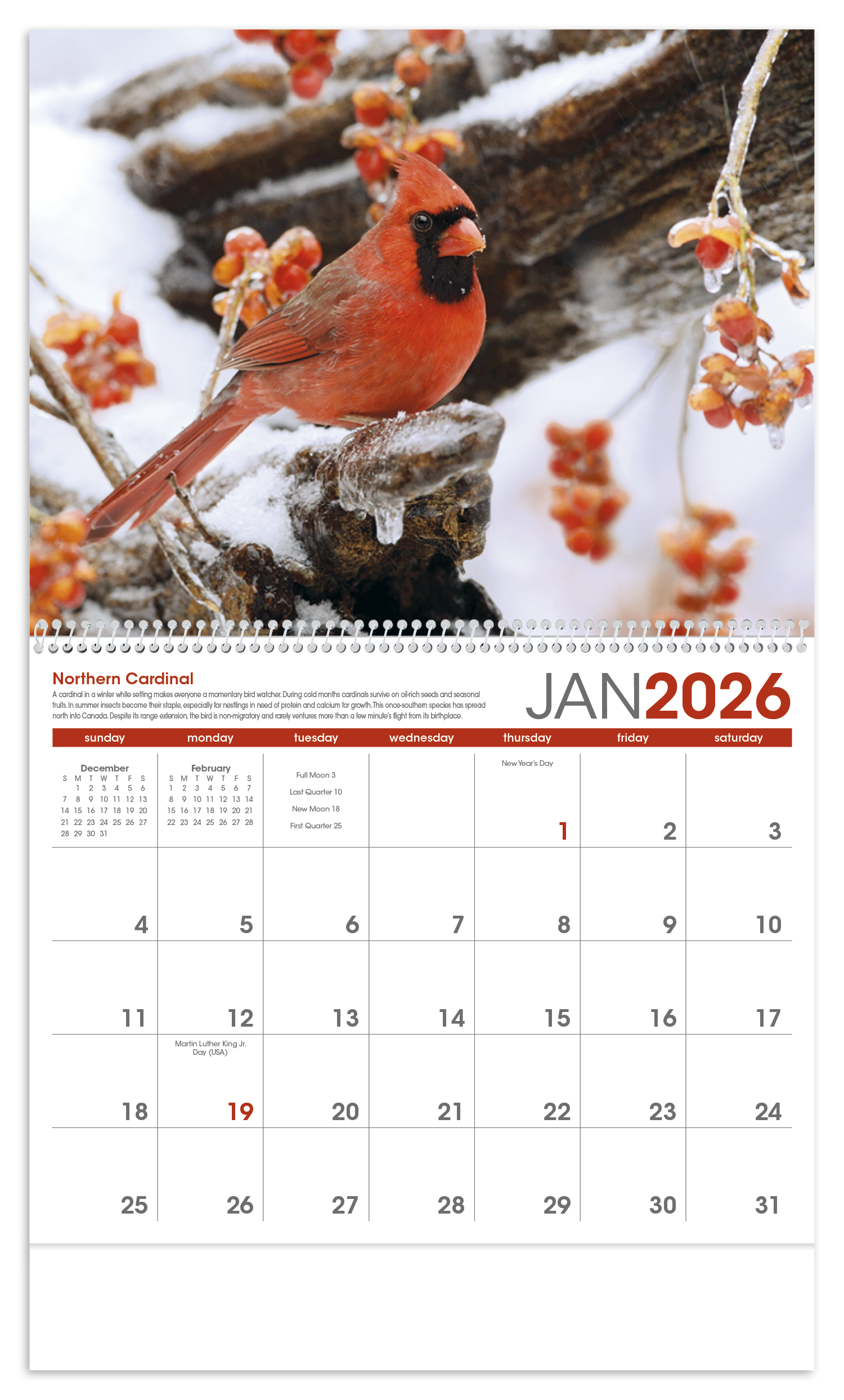 Triumph® Calendars Birds Calendar 28