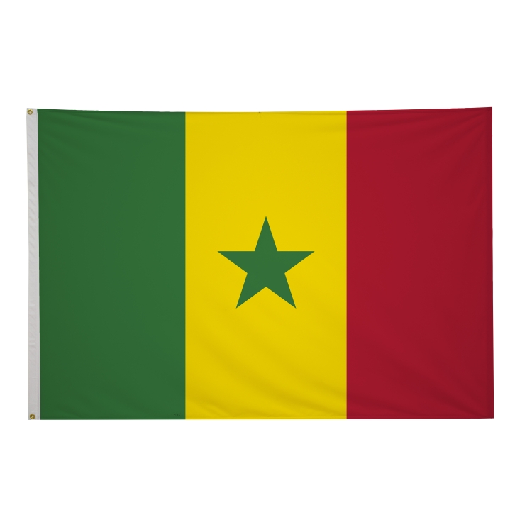 4' x 6' International Flags 97