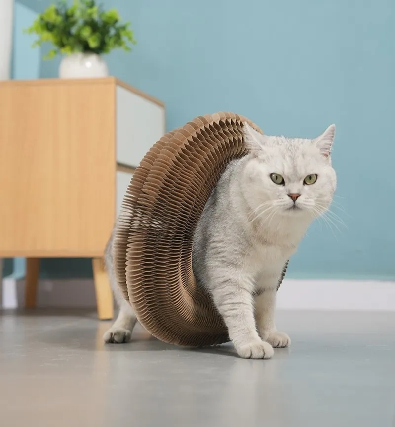 Pet Supplies Corrugated Paper Cat Scratch Toy 4