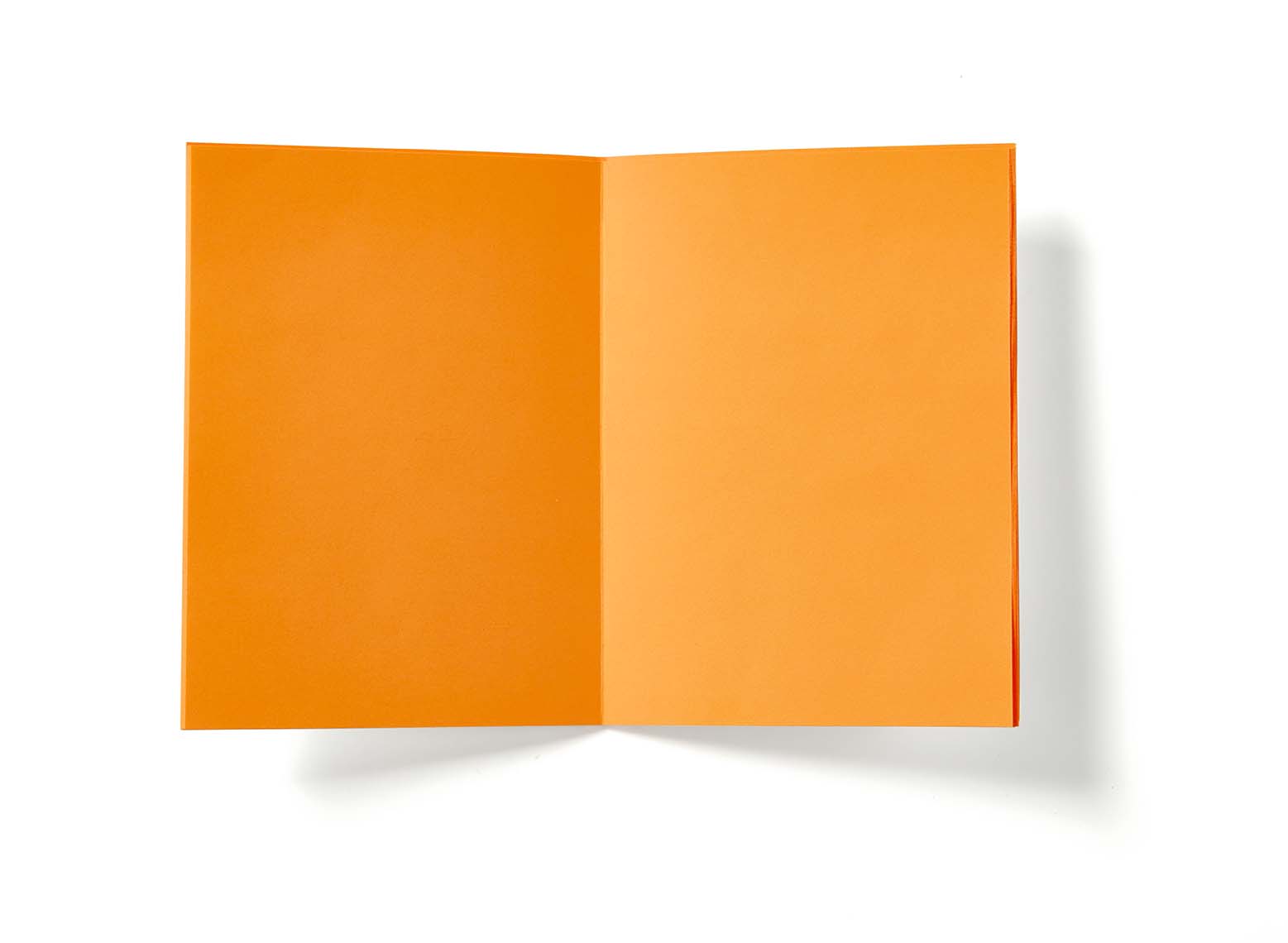 Neon Hex Journal 4