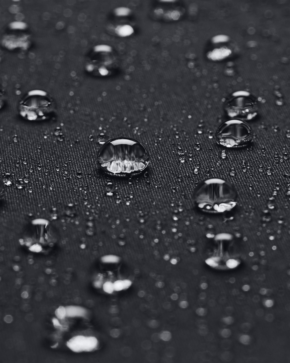 Ladies' ColdGear Infrared Shield 2 0 Jacket