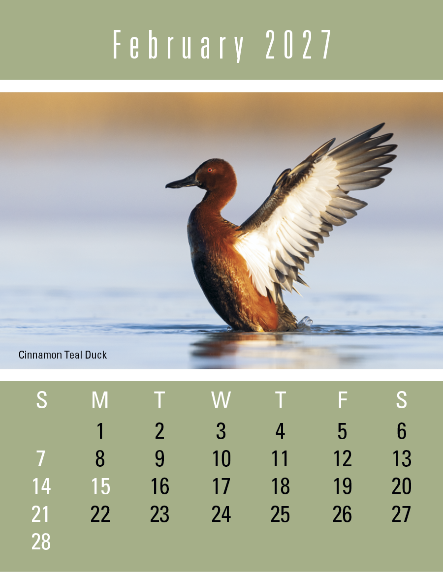 Triumph® Calendars Press-N-Stick Sportsmen Calendar 949