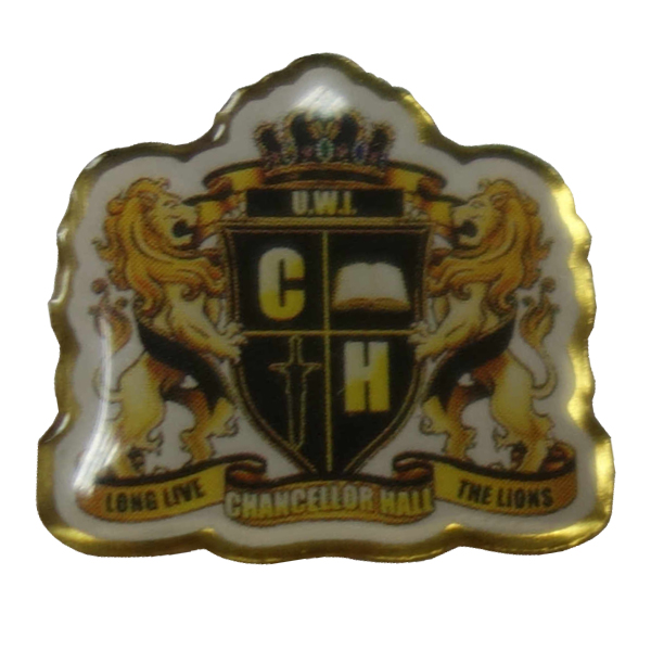Printed Lapel Pin 19