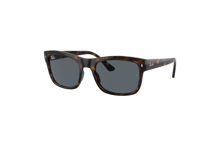Ray-Ban RB4428 Sunglasses 2