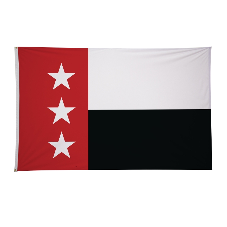 5' x 8' City Flags 26