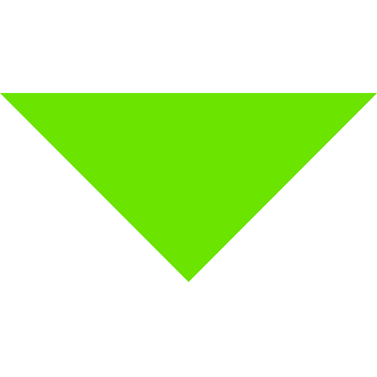 Large Triangle Pet Bandana w/ Screen Print 9