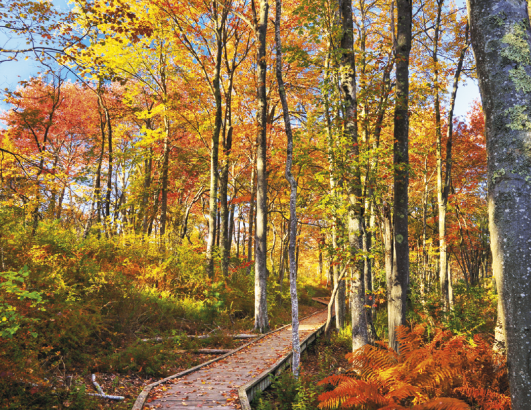 Triumph® Calendars New England Calendar 33