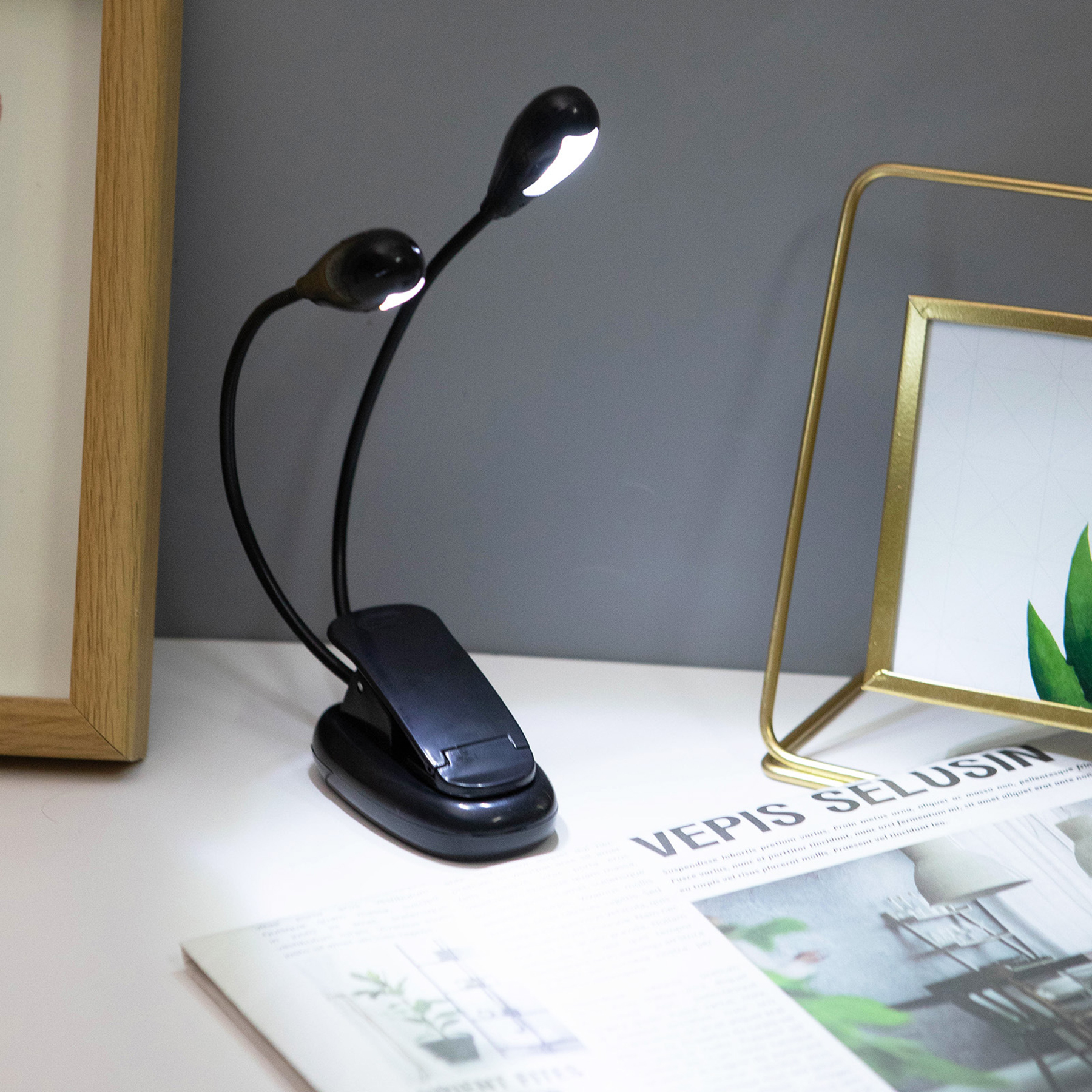 Dual Heads Book Light 4