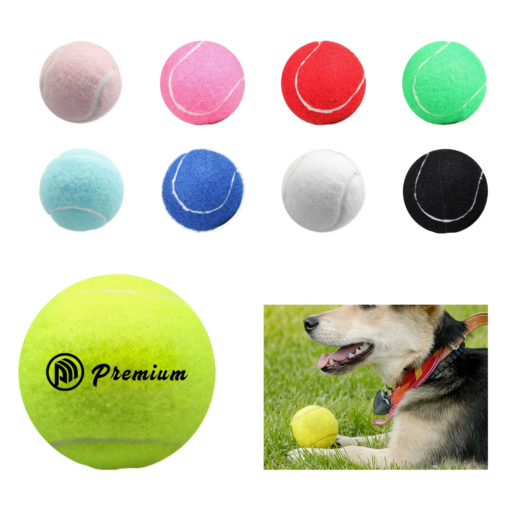 Pet Fetch Ball 3