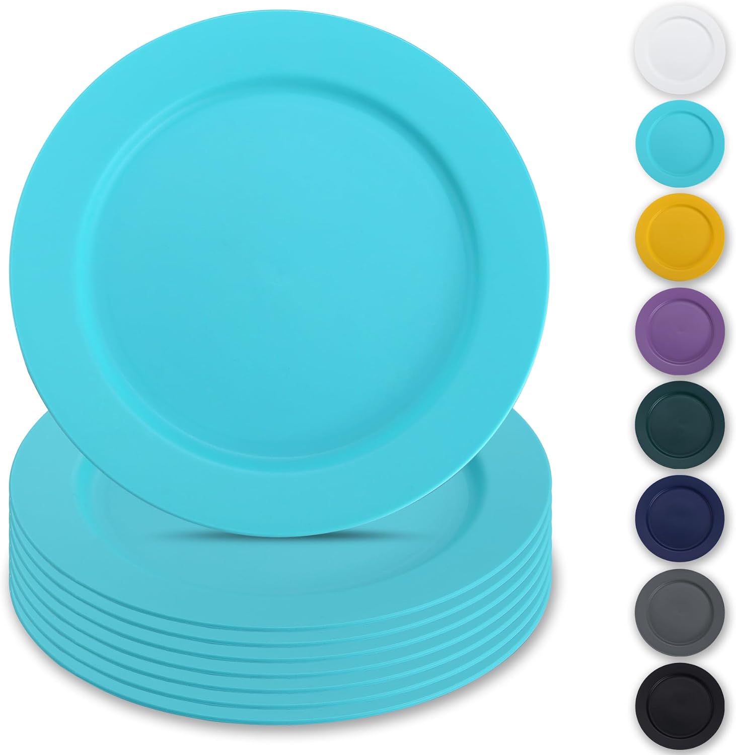 Reusable Flat Dinner Plates 11