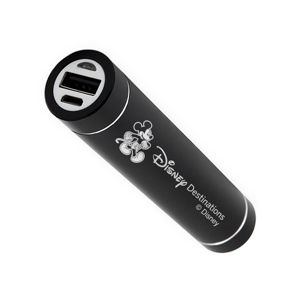 Edgebrook Flash Light Power Bank with UL Certified Battery 8
