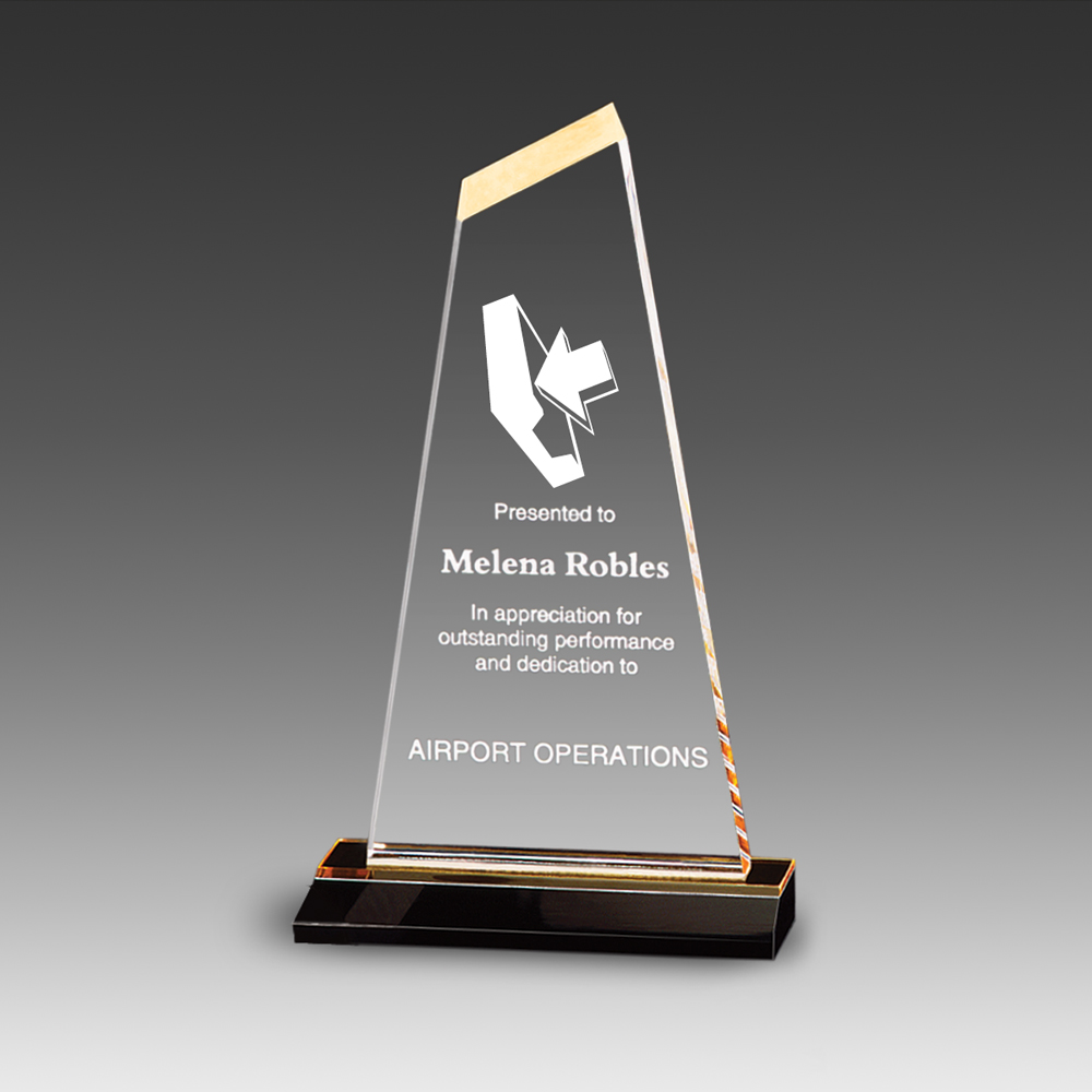 Reflections Optima Award (6"x11") 1