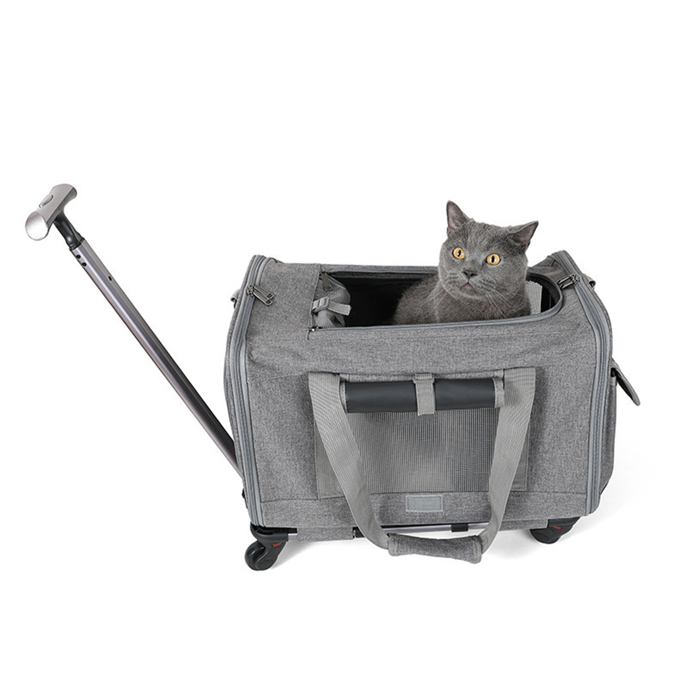 Oxford Large Capacity Outdoor Pet Luggage 7