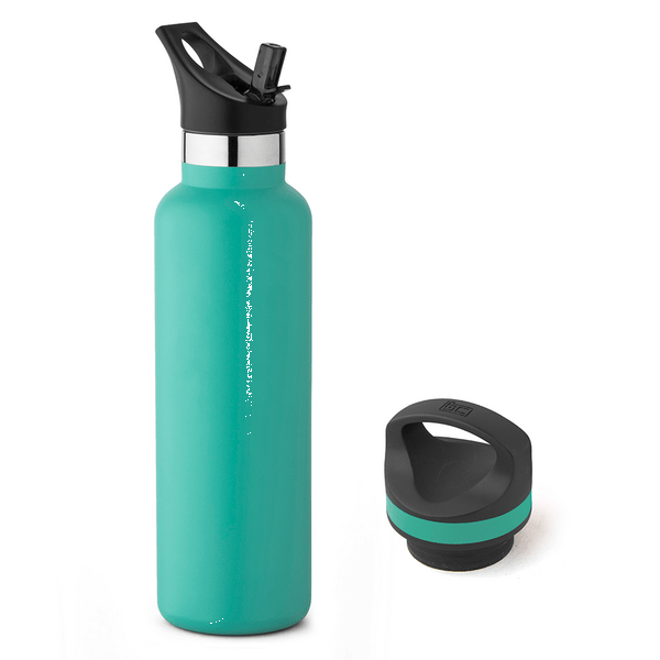 20 oz Basecamp Mesa Tundra Bottle with Screw Top and Flip-Top Straw Lid 122