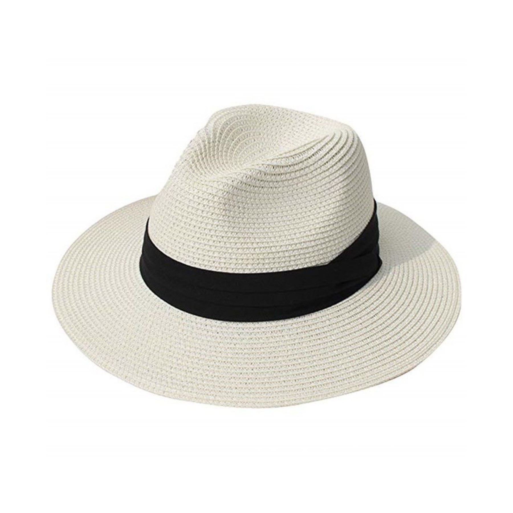 Wide Brim Fedora 2