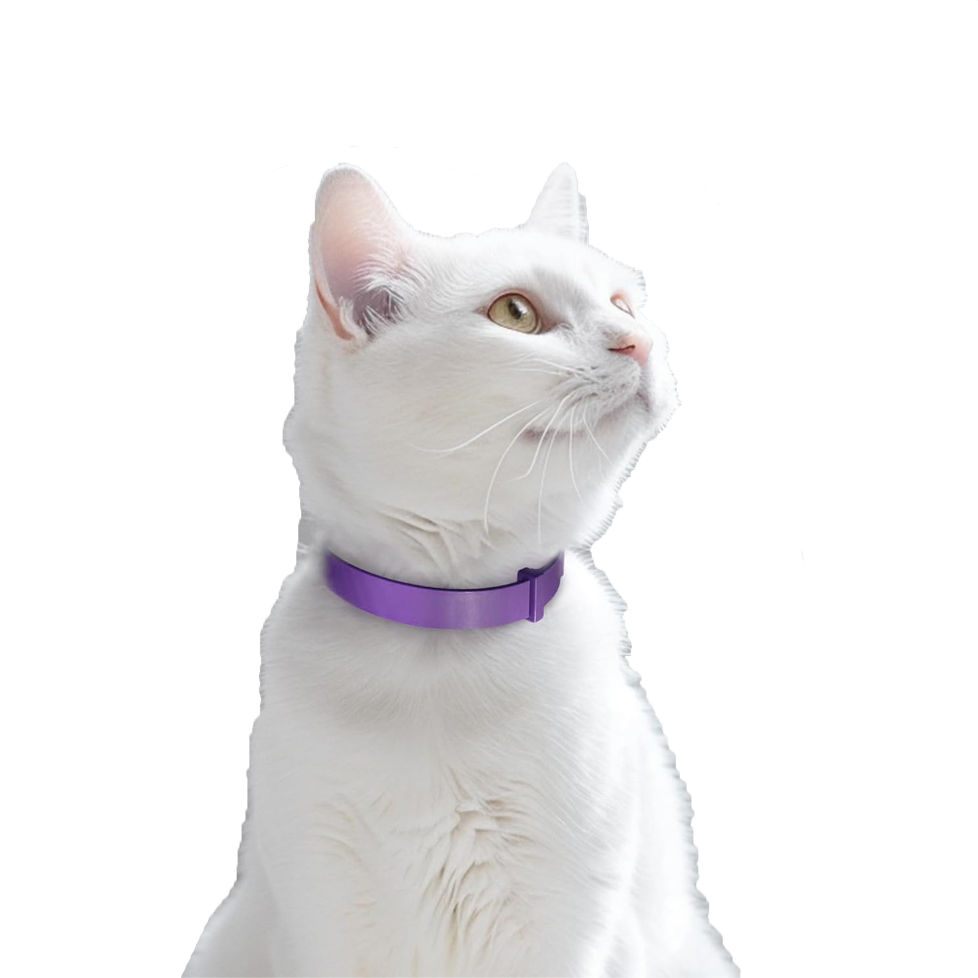 Feline Soothe Adjustable Collar 2